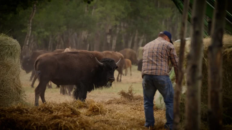 WLMFX320250716_2755.00_00_23_00.Still003